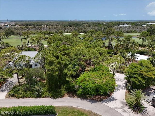 23016 W El Dorado Ave, Bonita Springs, FL 34134 - photo 7