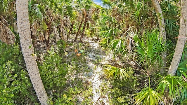 7634 Cypress Dr, Bokeelia, FL 33922 - photo 9