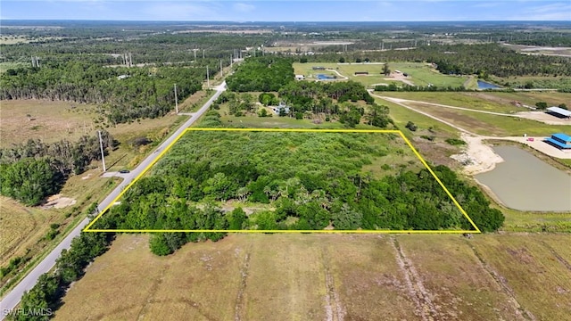38210 Cook Brown Rd, Punta Gorda, FL 33982 - photo 9