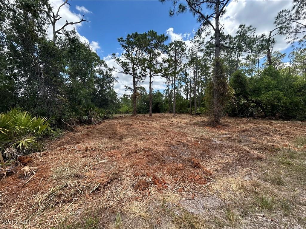 27242 Mandarin Dr, Punta Gorda, FL 33955 - photo 1