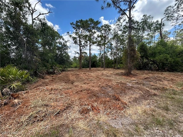 27242 Mandarin Dr, Punta Gorda, FL 33955 - photo 1