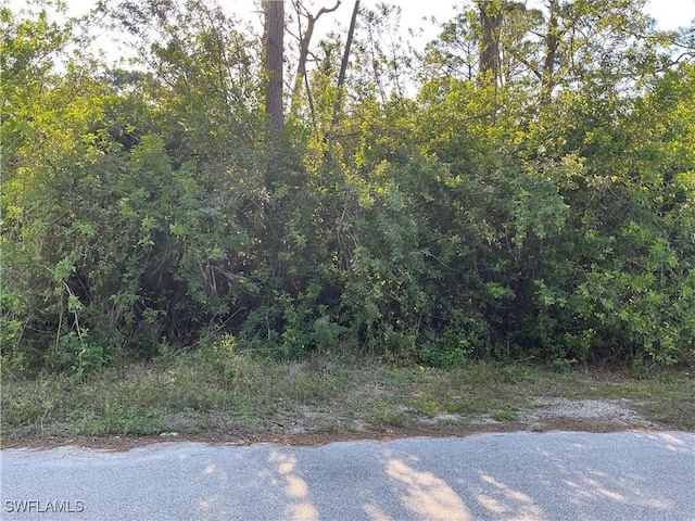 636 Sunflower Ave S, Lehigh Acres, FL 33974 - photo 1