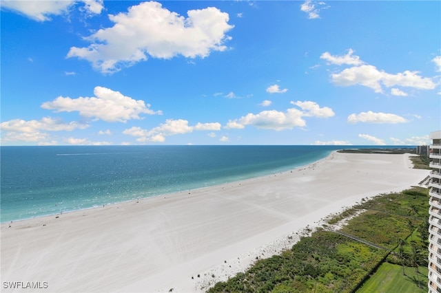 300 S Collier Blvd Unit 2304, Marco Island, FL 34145 - photo 27