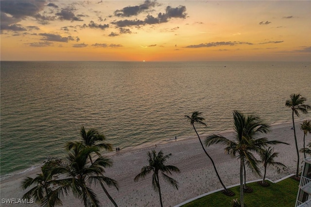 1275 Gulf Shore Blvd N Unit 301, Naples, FL 34102 - photo 20