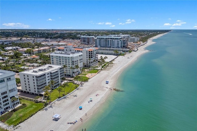 1275 Gulf Shore Blvd N Unit 301, Naples, FL 34102 - photo 18