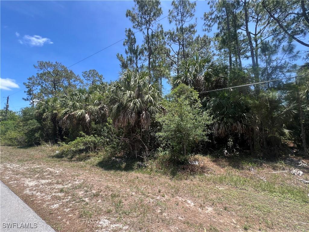 23rd St NW, Naples, FL 34120 - photo 3