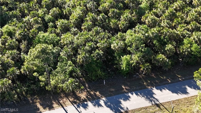 132 National Ave S, Lehigh Acres, FL 33974 - photo 5