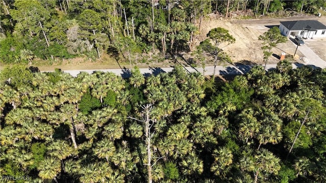 132 National Ave S, Lehigh Acres, FL 33974 - photo 1