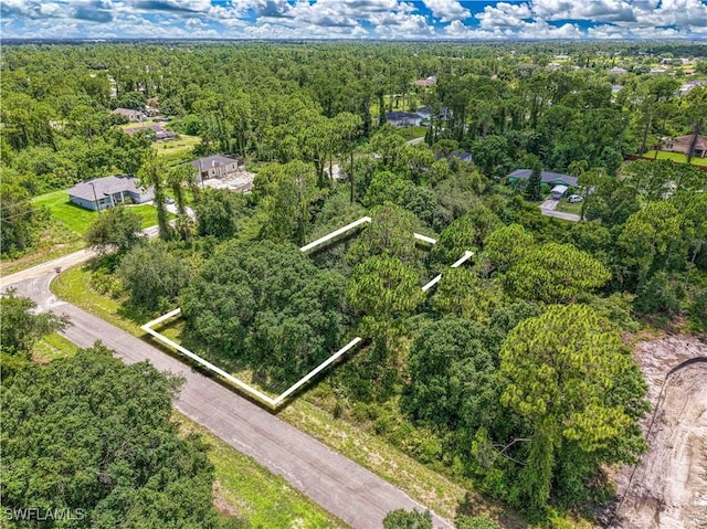 138 Bremen Ave S, Lehigh Acres, FL 33974 - photo 4