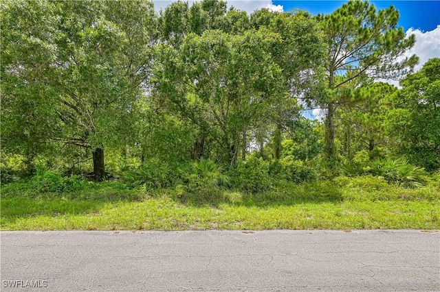 138 Bremen Ave S, Lehigh Acres, FL 33974 - photo 1