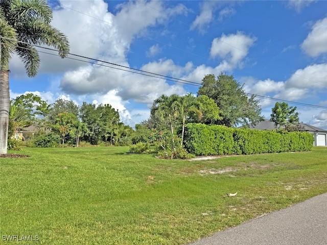 404 SW 26th Ave, Cape Coral, FL 33991 - photo 5