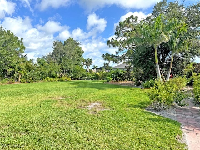 404 SW 26th Ave, Cape Coral, FL 33991 - photo 10