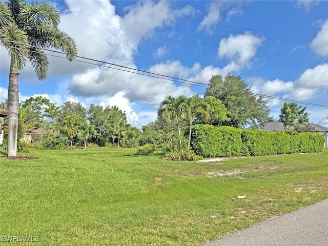 404 SW 26th Ave, Cape Coral, FL 33991 - photo 4