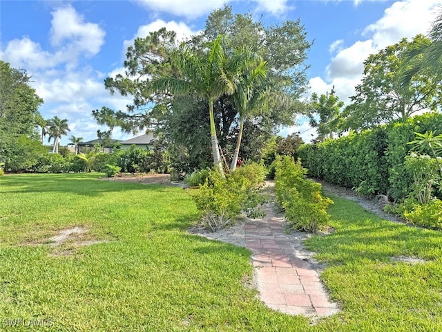 404 SW 26th Ave, Cape Coral, FL 33991 - photo 8
