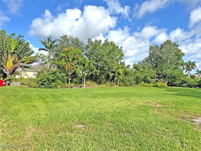 404 SW 26th Ave, Cape Coral, FL 33991 - photo 14