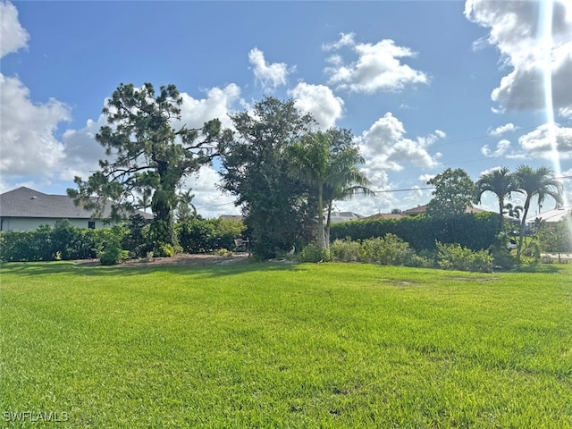 404 SW 26th Ave, Cape Coral, FL 33991 - photo 11
