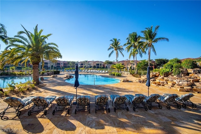 8608 Via Rapallo Dr Unit 206, Estero, FL 33928 - view of community pool