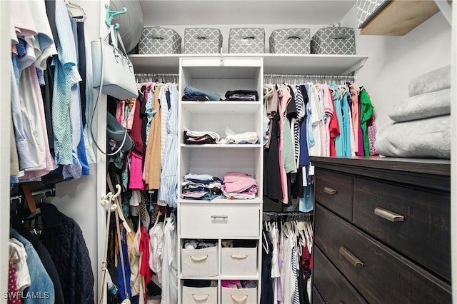162 Pebble Shores Dr Unit 203, Naples, FL 34110 - view of walk in closet