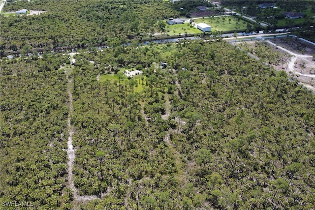 2311 Woodland Estates Rd, Naples, FL 34117 - photo 9
