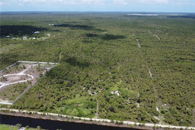 2311 Woodland Estates Rd, Naples, FL 34117 - photo 15