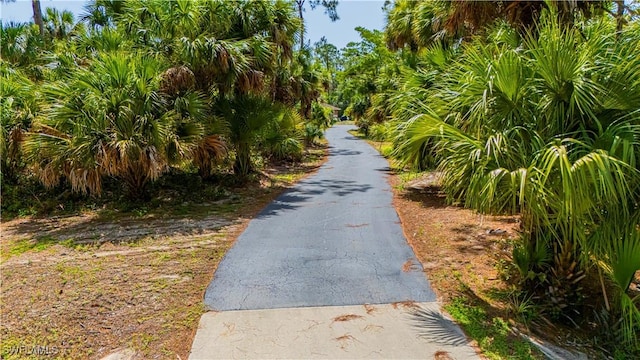 1957 19th St SW, Naples, FL 34117 - photo 1