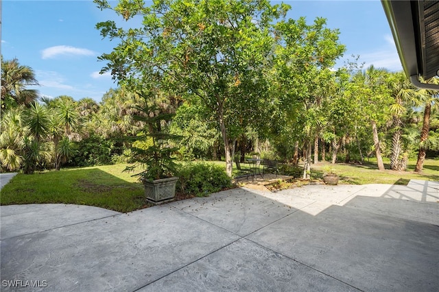 211 11th St NW, Naples, FL 34120 - view of patio