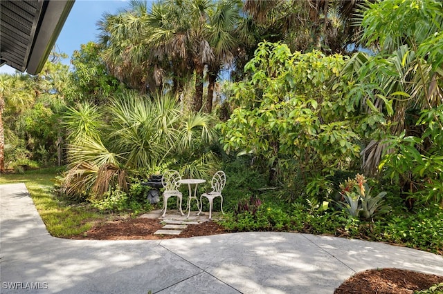 211 11th St NW, Naples, FL 34120 - view of patio