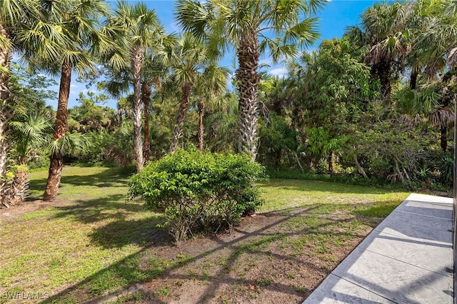 211 11th St NW, Naples, FL 34120 - view of grassy yard