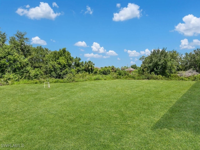 1304 Williams Ave, Lehigh Acres, FL 33972 - view of yard
