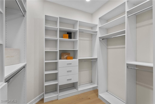 8834 Vaccaro Ct, Naples, FL 34119 - walk in closet with light wood-type flooring