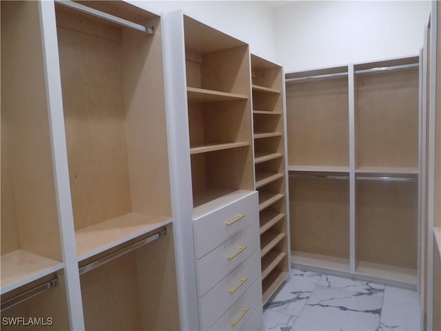 2924 Dunbar Ave, Fort Myers, FL 33916 - spacious closet with light marble finish floors