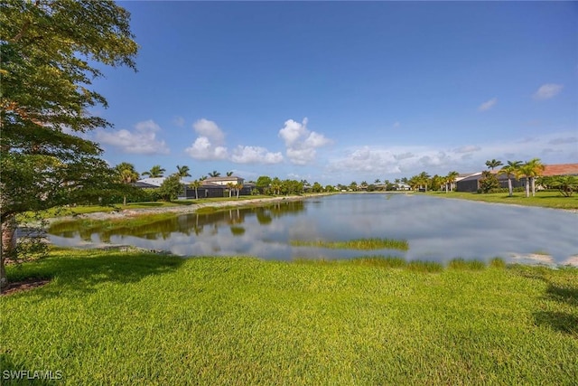 14601 Tropical Dr, Naples, FL 34114 - water view