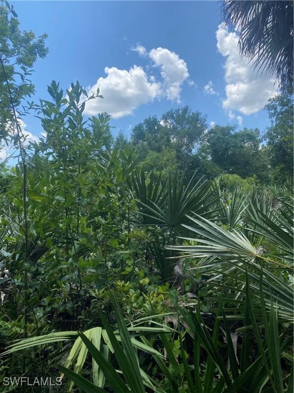 0000 44th St NE, Naples, FL 34120