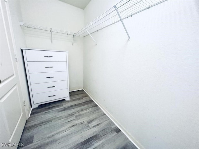 1958 Terrazzo Ln, Naples, FL 34104 - walk in closet with wood finished floors