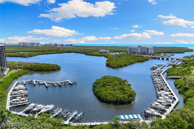420 Cove Tower Dr Unit 304, Naples, FL 34110 - drone / aerial view of a nearby body of water and a marina