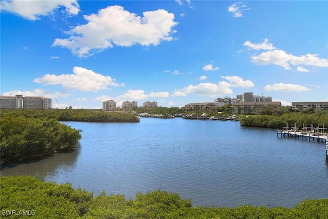 420 Cove Tower Dr Unit 304, Naples, FL 34110 - water view featuring nearby urban area