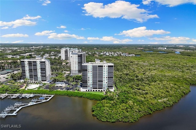 420 Cove Tower Dr Unit 304, Naples, FL 34110 - photo 23