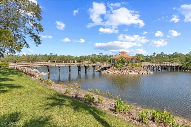 7625 Arbor Lakes Ct Unit 315, Naples, FL 34112 - water view
