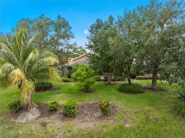 19793 Casa Verde Way, Estero, FL 33967 - view of green lawn
