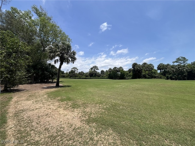 13020 Hamilton Harbour Dr Unit I3, Naples, FL 34110 - view of grassy yard