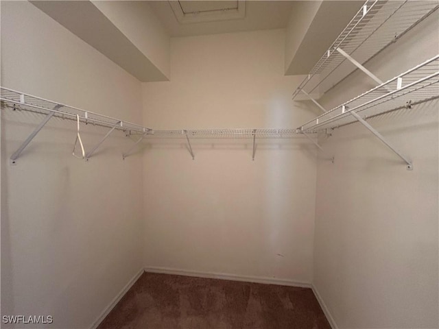 9888 Colonial Walk N, Estero, FL 33928 - photo 24
