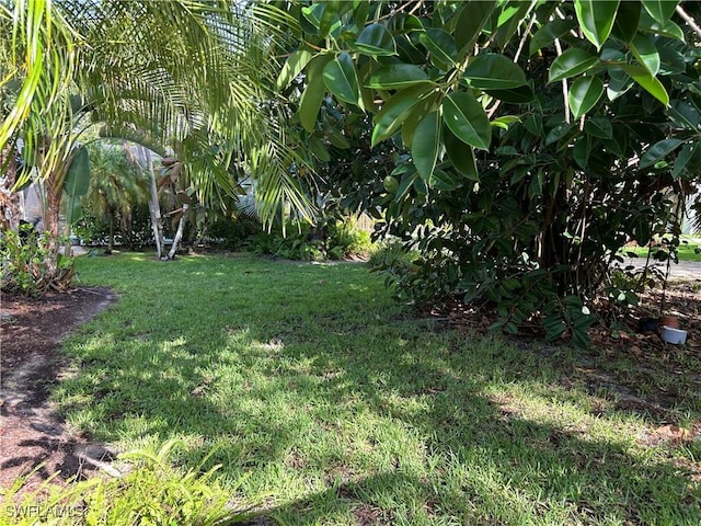 9888 Colonial Walk N, Estero, FL 33928 - photo 32