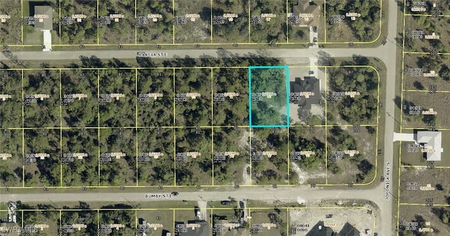 904 Barcia St E, Lehigh Acres, FL 33974