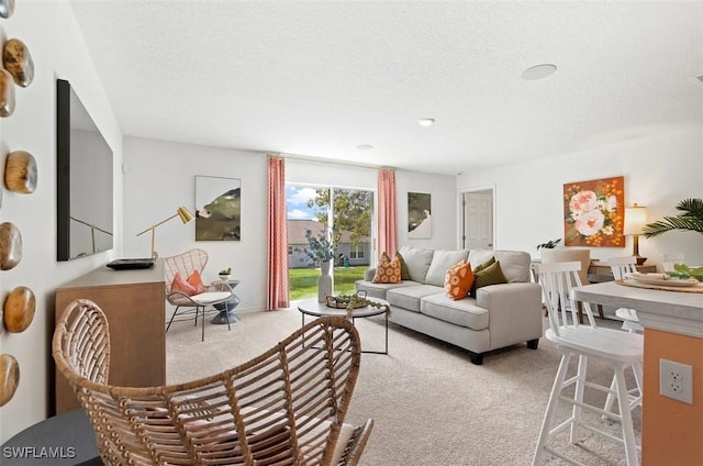 331 NW 19th St, Cape Coral, FL 33993 - living room with light carpet and a textured ceiling