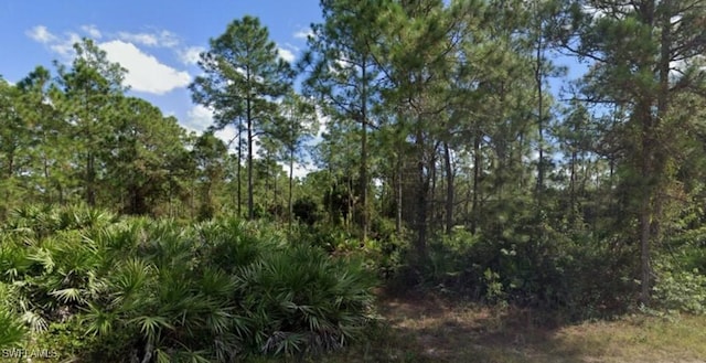 1620 Magnolia Ave, Lehigh Acres, FL 33972