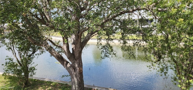 642 SE 13th Pl Unit 5, Cape Coral, FL 33990 - water view