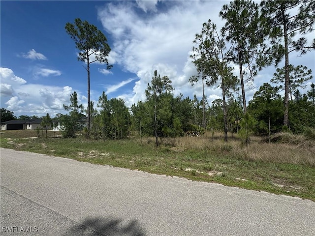 1004 Hamilton Ave, Lehigh Acres, FL 33972