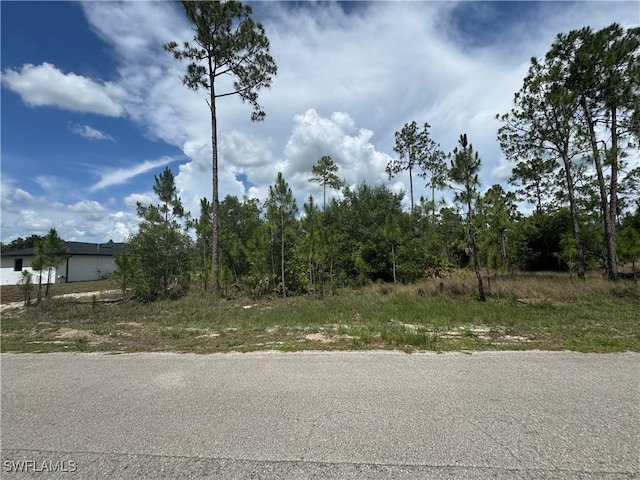 1004 Hamilton Ave, Lehigh Acres, FL 33972