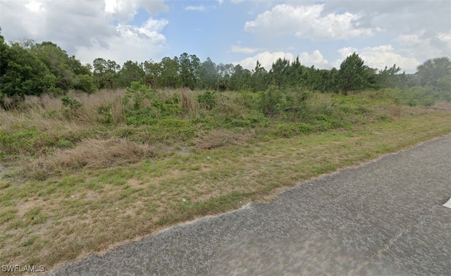 814 Fitch Ave, Lehigh Acres, FL 33972 - photo 2