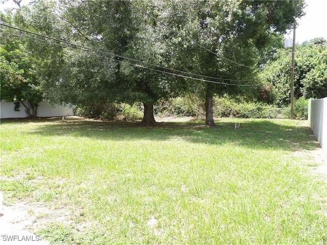 4807 6th St W, Lehigh Acres, FL 33971 - view of yard